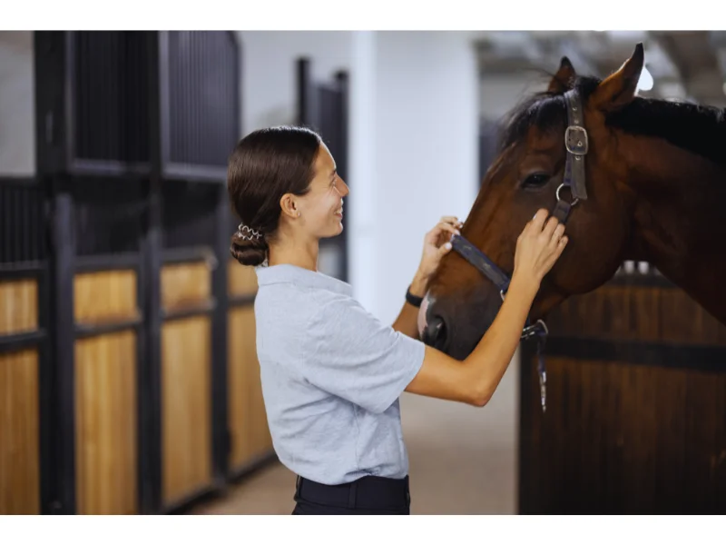 Girl touching the horse