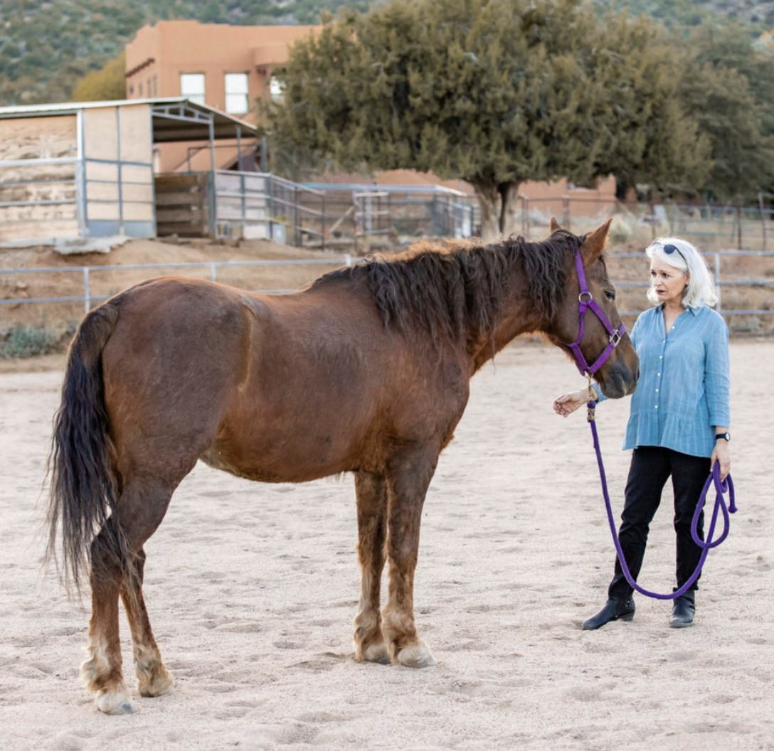 blonde woman with horse