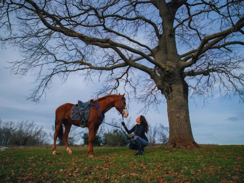 Girl sitting on tree with horse